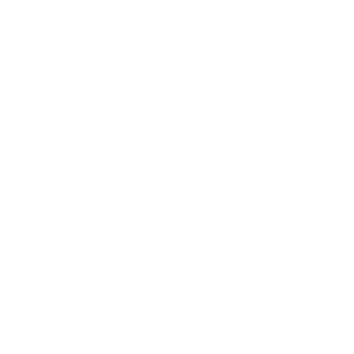 BEF Power Generator